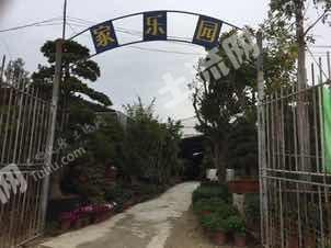 汕尾城区 1.5亩 其它园地 经营权出租
