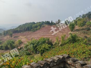 重庆长寿区 10亩 果园 经营权出租