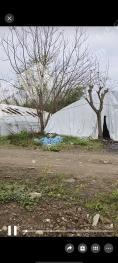 成都新津县3亩南美白对虾养殖基地经营权转让