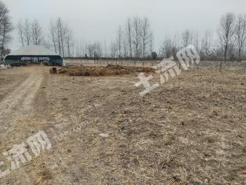 滁州定远县 11.58亩 设施农用地 经营权出租