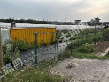 南充高坪区 17.95亩 果园 经营权转包