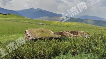 伊犁特克斯县 10亩 农村宅基地 使用权出租
