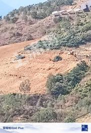 丽江永胜县 120亩 果园 经营权转让