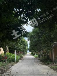 郑州荥阳市 158.37亩 水浇地 经营权出租