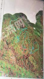 大理宾川县 14464.5亩 荒山 使用权出租