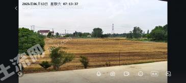 南通如东县 15亩 水浇地 经营权出租