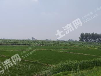 鞍山海城市 749.31亩 水田 经营权出租