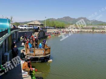 北京平谷区 50亩 坑塘水面 经营权出租