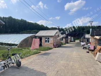 北京昌平区 347.64亩 水浇地 经营权合作
