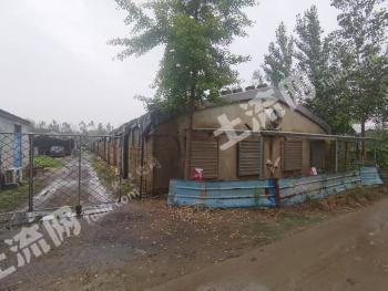 徐州丰县 8亩 空闲地 使用权出租