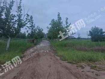 运城盐湖区 3048.83亩 乔木林地 经营权出租