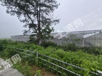 清远连州市 51亩 水田 经营权出租