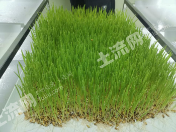 包头达尔罕茂明安联合旗 1302平方米 科研用地 使用权出租