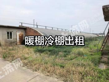 北京顺义区 80亩 水浇地 经营权出租