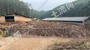 江门台山市 35亩 坑塘水面 经营权转让