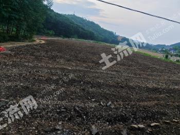 西双版纳景洪市 180亩 旱地 经营权出租