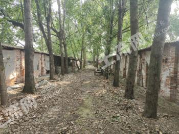 德阳旌阳区 2亩 农场 使用权出租