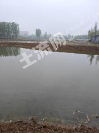 聊城东昌府区 12.74亩 坑塘水面 经营权出租