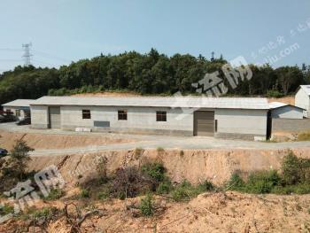 长沙长沙县 1350平方米 厂房 使用权转让