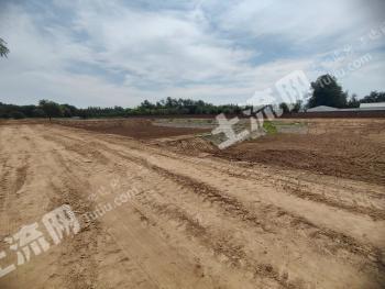 北京大兴区 50亩 水田 经营权出租