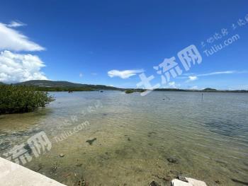 葫芦岛绥中县 50.69亩 沿海滩涂 使用权出租