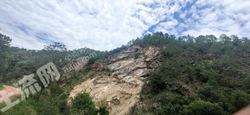 楚雄禄丰县 1457.82亩 其它林地 经营权转让