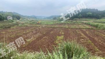 遂宁安居区 4847.75亩 旱地 经营权出租