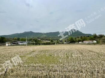 孝感大悟县 82.14亩 农家庭院 使用权转让