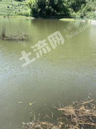 毕节赫章县 6.68亩 坑塘水面 经营权出租