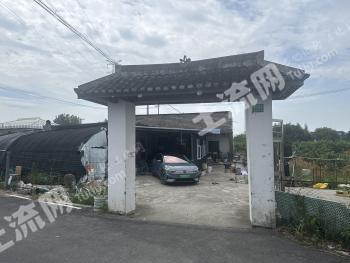 上海金山区 40亩 果园 经营权转让