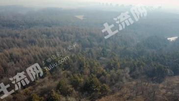 长春双阳区 639.92亩 其它林地 经营权出租