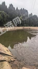 重庆潼南区 100亩 水田 经营权出租