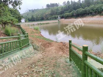 宜昌当阳市 500亩 灌木林地 经营权转让