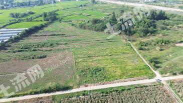 德阳旌阳区 90亩 旱地 经营权出租