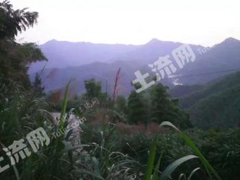 衡阳衡东县 6.04亩 农家庭院 使用权出租