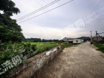 泉州惠安县 150亩 旱地 经营权出租