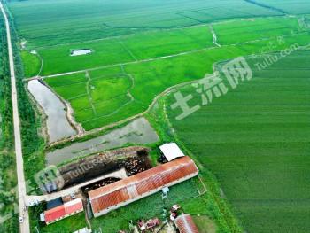哈尔滨双城区 220亩 设施农用地 经营权出租