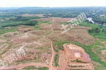 东南亚老挝 1500亩 果园 经营权出租