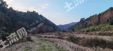 抚州广昌县 619亩 乔木林地 经营权出租