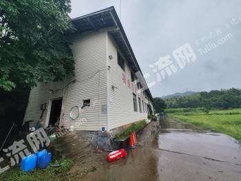 金华义乌市 130.78亩 果园 经营权出租