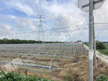 南通海门市 41.82亩 旱地 经营权转包