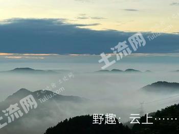 重庆渝北区 420亩 其它林地 经营权转让