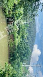 无锡锡山区 1亩 其它园地 经营权出租