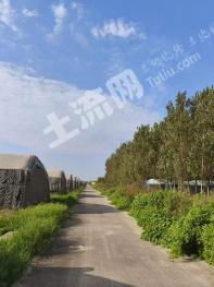 天津滨海新区 232.16亩 设施农用地 经营权出租