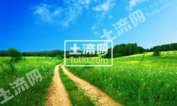 吉安永丰县 160亩 其它园地 经营权出租