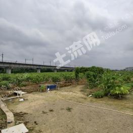 佛山三水区 19.5亩 果园 经营权出租