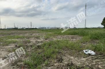 苏州相城区 160亩 旱地 经营权转包