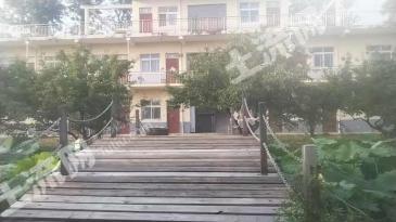 鹤壁浚县 68.19亩 农场 使用权出租