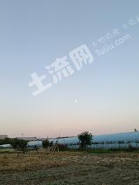 泰州兴化市 12.03亩 水田 经营权出租