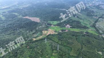 咸宁赤壁市 1000亩 其它林地 经营权转让